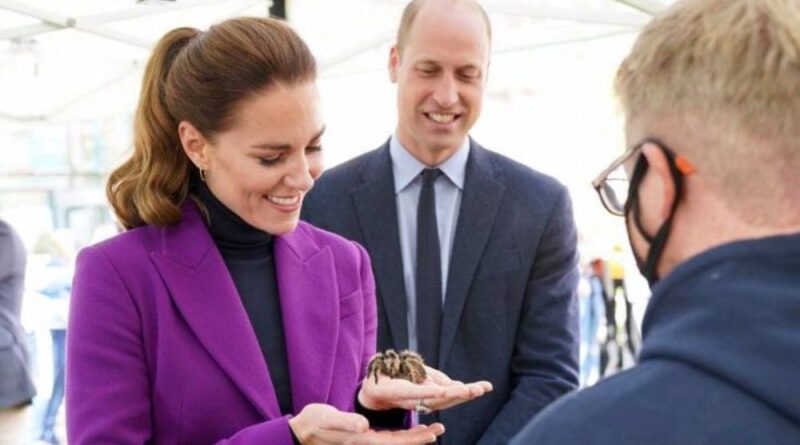 Fearless Duchess Kate Meets Charlotte The Tarantula